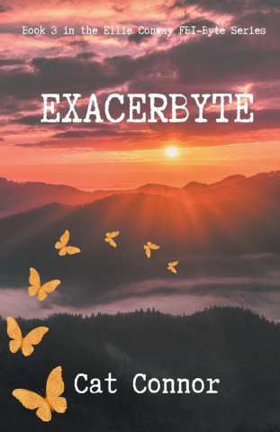 Exacerbyte