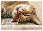 Catlovers - Ein Jahr voller Samtpfoten und charmanten Weisheiten (Wandkalender 2025 DIN A2 quer), CALVENDO Monatskalender