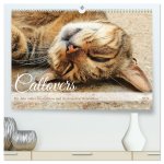 Catlovers - Ein Jahr voller Samtpfoten und charmanten Weisheiten (hochwertiger Premium Wandkalender 2025 DIN A2 quer), Kunstdruck in Hochglanz