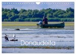 Donau-Delta (Wandkalender 2025 DIN A4 quer), CALVENDO Monatskalender