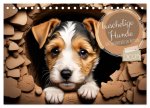 Kuschelige Hunde - kleine Herzensbrecher in Aktion (Tischkalender 2025 DIN A5 quer), CALVENDO Monatskalender