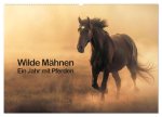 Wilde Mähnen: Ein Jahr mit Pferden (Wandkalender 2025 DIN A2 quer), CALVENDO Monatskalender