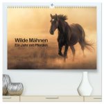 Wilde Mähnen: Ein Jahr mit Pferden (hochwertiger Premium Wandkalender 2025 DIN A2 quer), Kunstdruck in Hochglanz