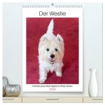 Der Westie - Portrait eines West Highland White Terriers (hochwertiger Premium Wandkalender 2025 DIN A2 hoch), Kunstdruck in Hochglanz
