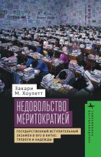 Meritocracy and Its Discontents