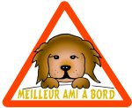 Meilleur ami à bord