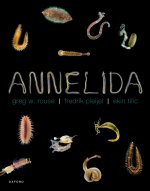 Annelida (Paperback)