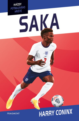 Hvďż˝zdy fotbalovďż˝ho hďż˝iďż˝tďż˝ - Saka