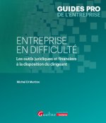 Le dirigeant face à sa société en difficulté
