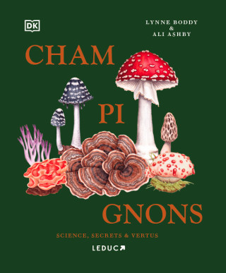 Champignons