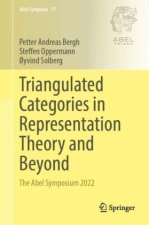 Triangulated Categories in Representation Theory and Beyond