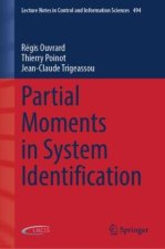 Partial Moments in System Identification
