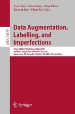 Data Augmentation, Labelling, and Imperfections