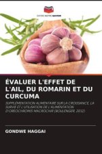 ÉVALUER L'EFFET DE L'AIL, DU ROMARIN ET DU CURCUMA