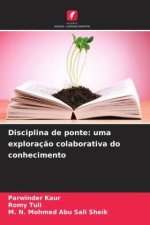 Disciplina de ponte: uma exploração colaborativa do conhecimento
