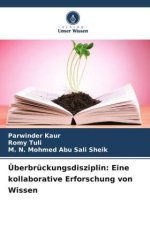 Überbrückungsdisziplin: Eine kollaborative Erforschung von Wissen