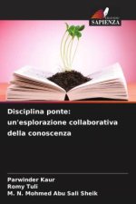 Disciplina ponte: un'esplorazione collaborativa della conoscenza