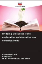 Bridging Discipline : une exploration collaborative des connaissances