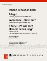 Adagio du Osteroratorium (Oratorio de Pâques)