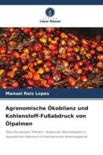 Agronomische Ökobilanz und Kohlenstoff-Fußabdruck von Ölpalmen
