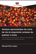 Analyse agronomique du cycle de vie et empreinte carbone du palmier à huile