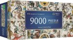 Puzzle 9000 UFT Ancient Celestial Maps 81031