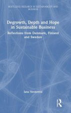Degrowth, Depth and Hope in Sustainable Business