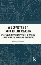 A Geometry of Sufficient Reason
