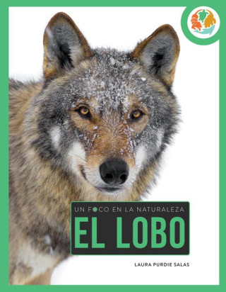 Lobo