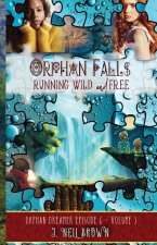 Orphan Falls