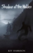 Shadow of the Hidden