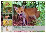 Wilder Nordosten - Aug in Aug mit Tieren der Ostseeregion (Tischkalender 2025 DIN A5 quer), CALVENDO Monatskalender