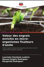 Valeur des engrais enrichis en micro-organismes fixateurs d'azote