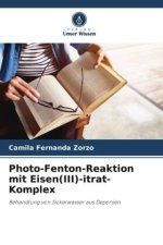 Photo-Fenton-Reaktion mit Eisen(III)-itrat-Komplex
