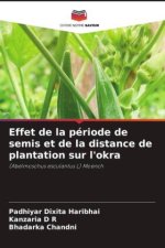 Effet de la période de semis et de la distance de plantation sur l'okra