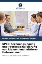 SPED Rechnungslegung und Professionalisierung von kleinen und mittleren Unternehmen