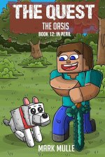 The Quest - The Oasis  Book 12