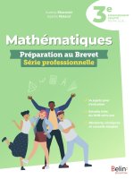 Mon cahier d'entraînement Brevet Mathématiques - 3e enseignement adapté