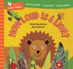 HOW LOUD IS A LION