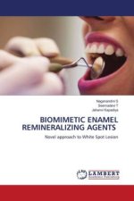 BIOMIMETIC ENAMEL REMINERALIZING AGENTS