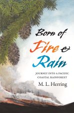 Born of Fire and Rain – Journey into a Pacific Coastal Forest