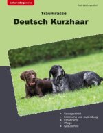 Traumrasse Deusch Kurzhaar