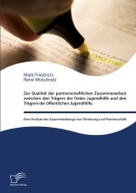 Zur Qualität der partnerschaftlichen Zusammenarbeit zwischen den Trägern der freien Jugendhilfe und den Trägern der öffentlichen Jugendhilfe eine Anal