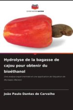 Hydrolyse de la bagasse de cajou pour obtenir du bioéthanol
