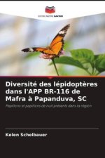 Diversité des lépidoptères dans l'APP BR-116 de Mafra à Papanduva, SC