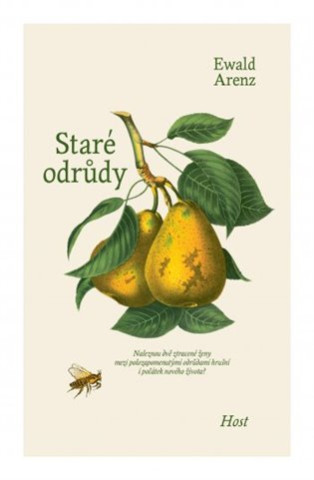 Starďż˝ odrďż˝dy