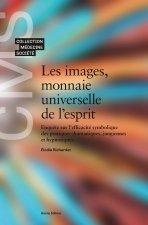 LES IMAGES, MONNAIE UNIVERSELLE DE L'ESPRIT : ENQUETE SUR L'EFFICACITE SYMBOLIQUE DES PRATIQUES CHAM