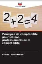 Principes de comptabilité pour les non professionnels de la comptabilité