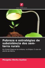 Pobreza e estratégias de subsistência dos sem-terra rurais