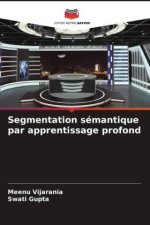 Segmentation sémantique par apprentissage profond